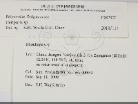 蠟孔菌屬藏品圖，第2張