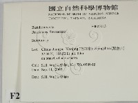 韌革菌屬藏品圖，第2張