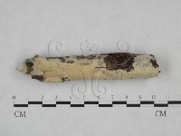 登錄號:F0025114藏品圖，第1張