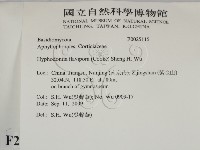 登錄號:F0025115藏品圖，第2張