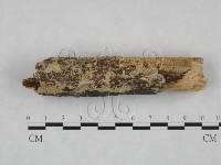 登錄號:F0025115藏品圖，第1張