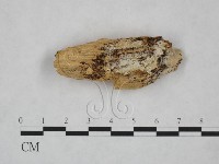 登錄號:F0025117藏品圖，第1張
