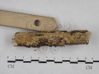 登錄號:F0025118藏品圖，第5張