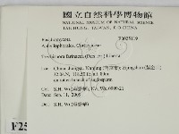 登錄號:F0025119藏品圖，第2張