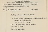 登錄號:F0025119藏品圖，第3張