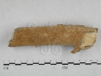 登錄號:F0025120藏品圖，第1張