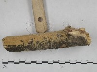 登錄號:F0025120藏品圖，第3張