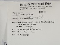 登錄號:F0025122藏品圖，第2張