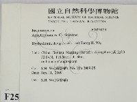 登錄號:F0025123藏品圖，第2張