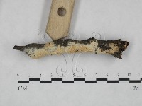 登錄號:F0025123藏品圖，第4張