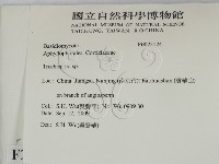 粗糙孢菌屬藏品圖，第2張