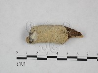 登錄號:F0025125藏品圖，第1張