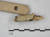 登錄號:F0025125藏品圖，第3張