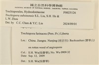 登錄號:F0025126藏品圖，第3張