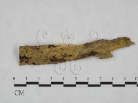 登錄號:F0025127藏品圖，第1張