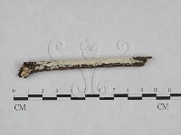 登錄號:F0025128藏品圖，第3張
