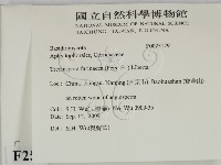 登錄號:F0025129藏品圖，第2張
