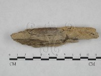 登錄號:F0025129藏品圖，第1張