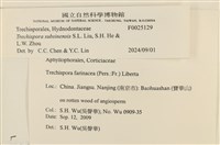 登錄號:F0025129藏品圖，第3張