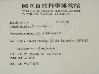 登錄號:F0025130藏品圖，第2張