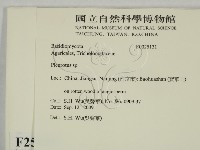 登錄號:F0025131藏品圖，第2張
