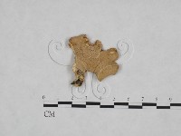 登錄號:F0025131藏品圖，第1張