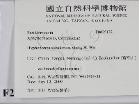 登錄號:F0025132藏品圖，第2張