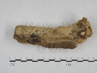 登錄號:F0025132藏品圖，第1張