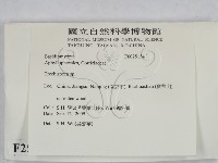粗糙孢菌屬藏品圖，第2張