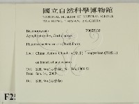 登錄號:F0025135藏品圖，第2張