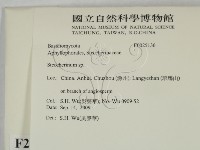 齒耳菌屬藏品圖，第2張