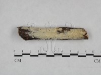 登錄號:F0025137藏品圖，第1張