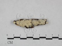 登錄號:F0025138藏品圖，第1張