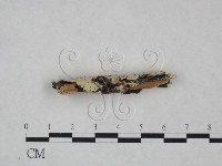 登錄號:F0025138藏品圖，第3張