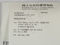 登錄號:F0025139藏品圖，第2張