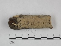 登錄號:F0025139藏品圖，第1張