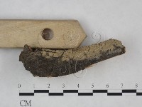 登錄號:F0025139藏品圖，第3張