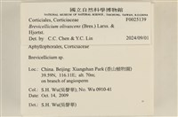 登錄號:F0025139藏品圖，第4張