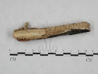 登錄號:F0025140藏品圖，第3張
