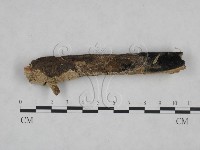 登錄號:F0025140藏品圖，第4張