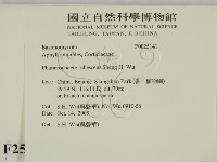 登錄號:F0025141藏品圖，第2張