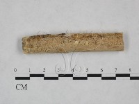 登錄號:F0025141藏品圖，第1張