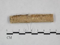 登錄號:F0025141藏品圖，第3張