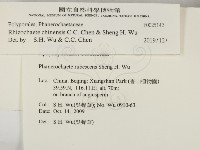 登錄號:F0025142藏品圖，第2張