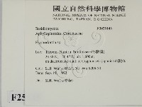絲齒菌屬藏品圖，第2張