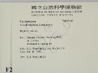 絲齒菌屬藏品圖，第2張
