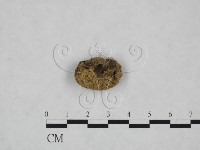 登錄號:F0025152藏品圖，第1張