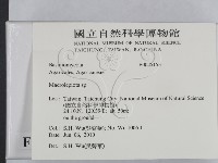 登錄號:F0025153藏品圖，第2張