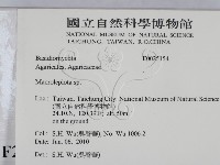 登錄號:F0025154藏品圖，第2張