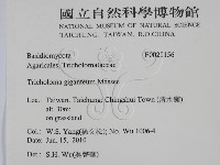 登錄號:F0025156藏品圖，第2張